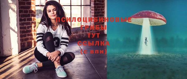 прущий лед Алзамай