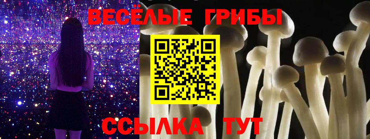 Псилоцибиновые грибы Magic Shrooms Саянск
