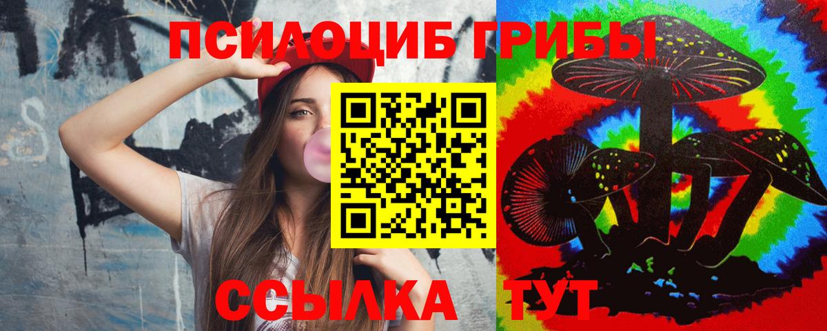 Псилоцибиновые грибы Psilocybe  Вход с VPN  Саянск 